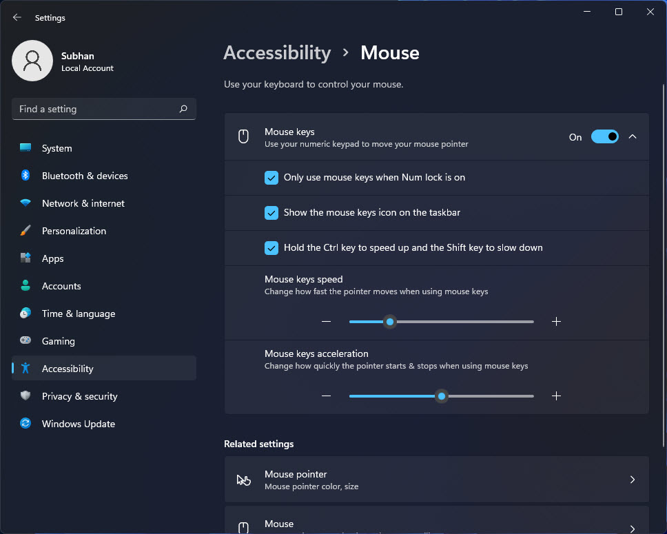 How to Make Windows 11 Accessible (Ease of Access Settings)